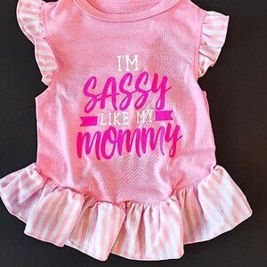 Pink Dog Outfit with Ruffles, Size Small